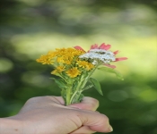 MontanaBackpacking2013 105